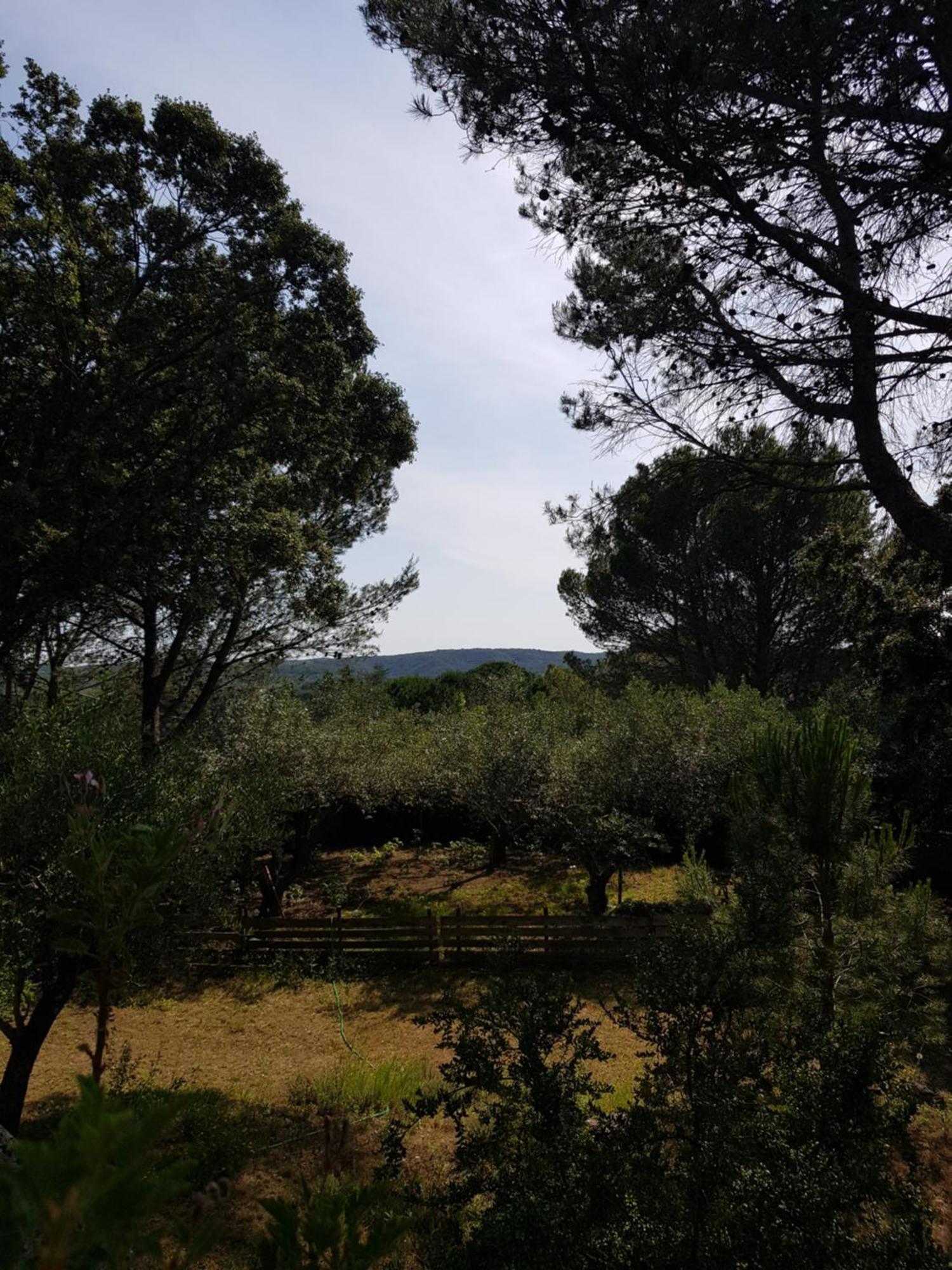 Maison Au Calme Castillon-du-Gard Exterior foto